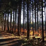 Karlovarská *