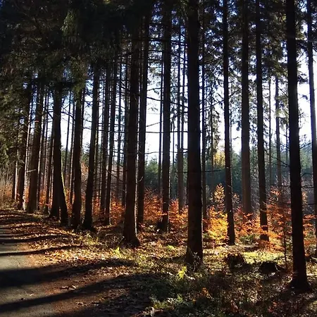 Karlovarska *