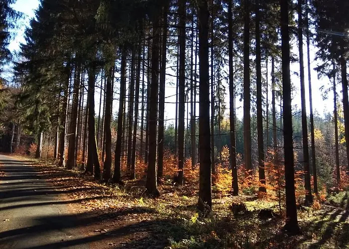 Karlovarska *
